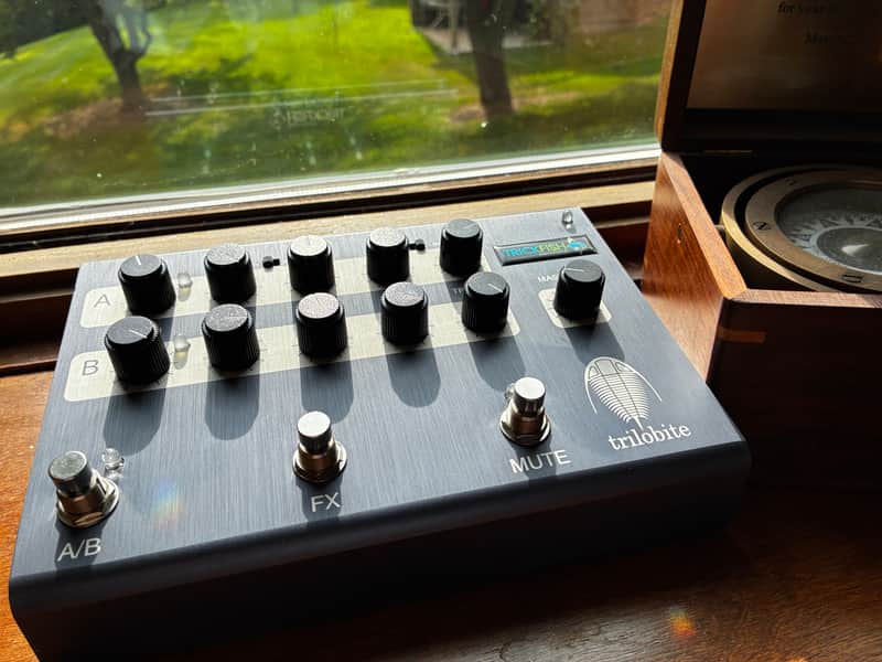 TRICKFISH Trilobite preamp DI image 1