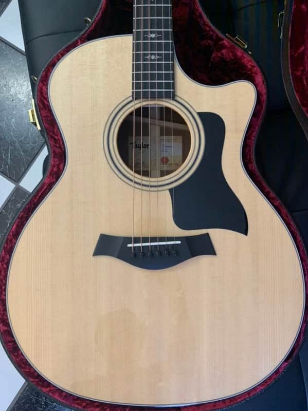 Taylor 314ce with V-Class Bracing 2019 - 2020 image 1