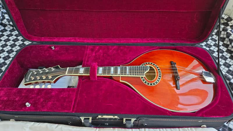 Eastman MD604