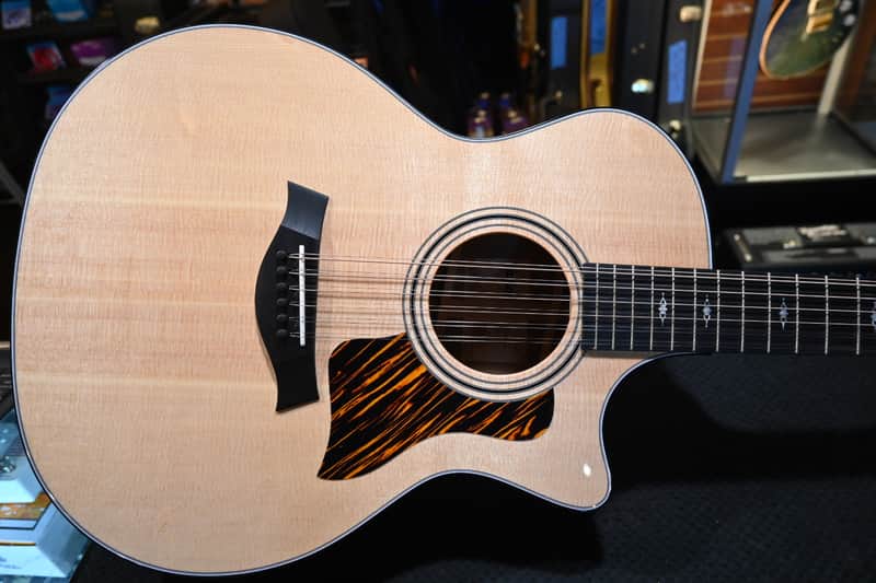 Taylor 354ce 2025 12-String #5010 image 1