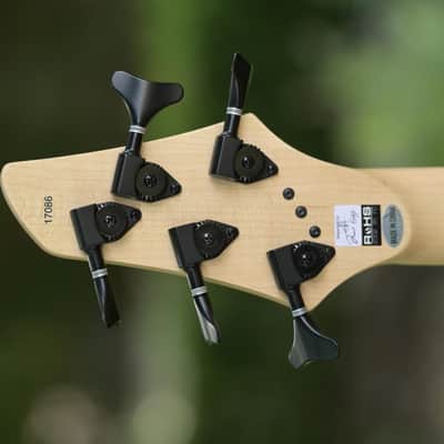 Dingwall John Taylor Signature 5-string - Primrose image 7