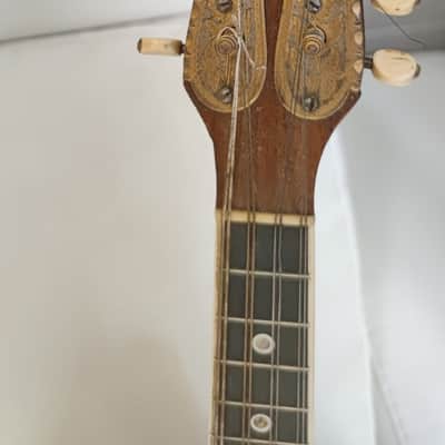 Bruno Klemm. Mandolina. Year 1890 Mandolin. image 2