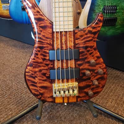 Peavey Cirrus 5 String Tiger Eye image 1