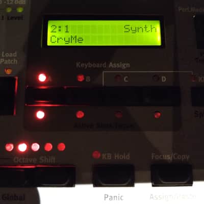 Nord Modular G2X + Gator flight case image 10