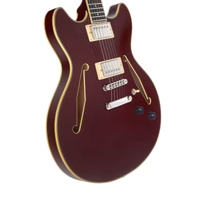 Guitare Electrique D'ANGELICO Excel DC Tour Solid Wine image 3