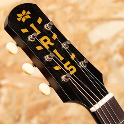 IRIS GUITAR COMPANY The AB Relic T.Burst / Lightaged image 8