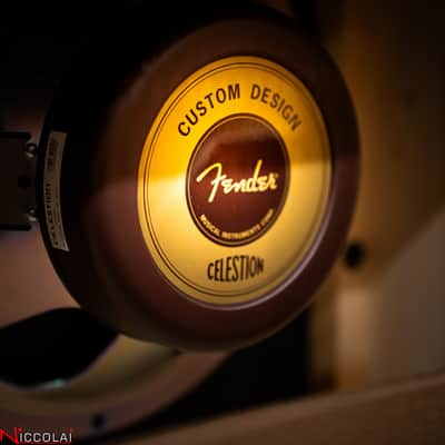 FENDER '62 Super Amp, 230V image 5