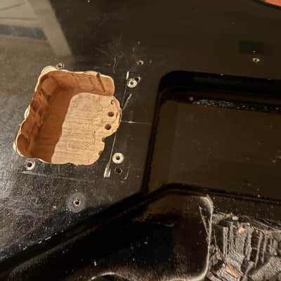 Jazzmaster Body/Neck (Kahler Route) image 3