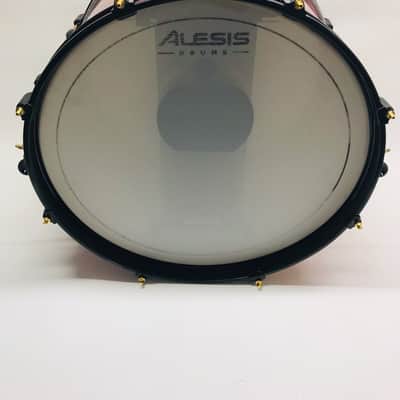 Alesis Strike Pro SE 20” Bass Kick Drum Mesh Pad image 5
