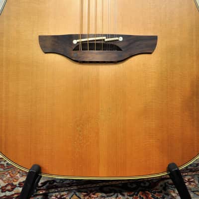 Takamine  ETN10C 12 Strings Natural image 5