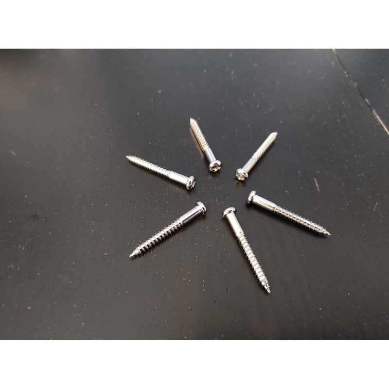 6 Nickel Screws 40 x 35mm, for Stratocaster 2 Posts Tremolo. image 1