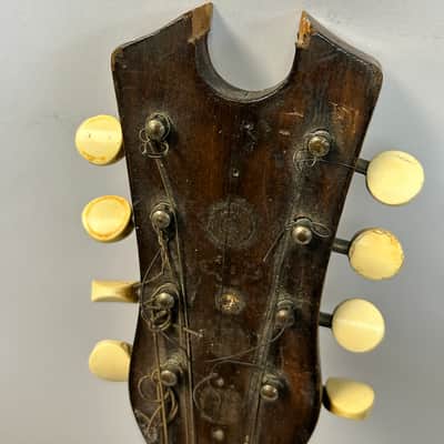 Vega Style S Banjo Mandolin 1920s Curly Maple Banjolin image 4