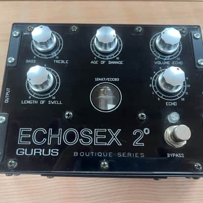 Early Gurus Echosex 2 Echorec Replica image 2
