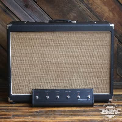 Tech 21 Trademark 120 Stereo 2x12 Guitar Combo Amp image 1