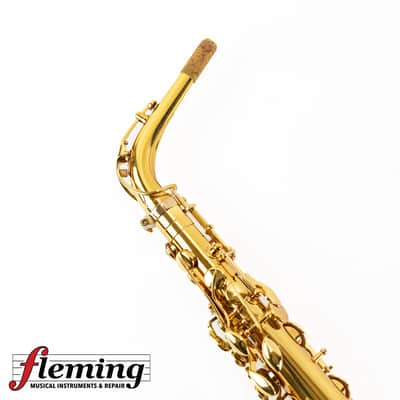 NEW Eastman EAS850 Rue Saint-Georges Professional Alto Saxophone (Competition Demo / Open Box Model) image 14