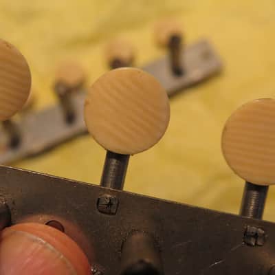vintage 1800's early 1900's vintage mandolin tuners striped catalin/bone/ivory buttons image 4