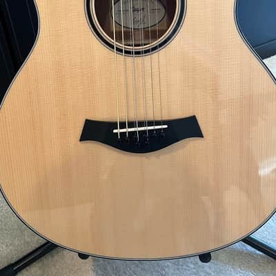 Taylor GT-8 Baritone 8-String Custom Built. image 12