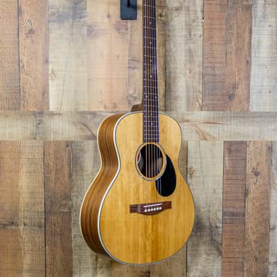 Immagine Eastman PCH2-TG Traveler w/Gigbag - 3