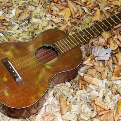 Vintage Martin 50s Tenor Ukulele image 3
