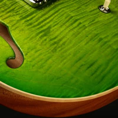 2023 - PRS CE 24 Semi-Hollow - Eriza Verde #364614 image 18