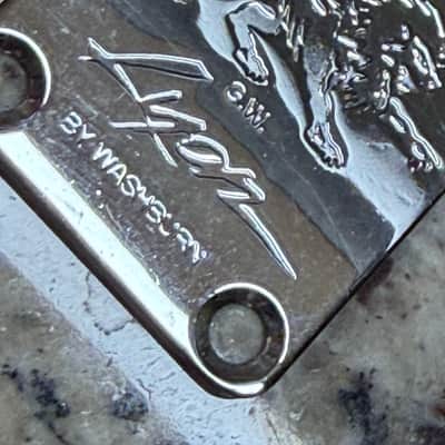 Lyon Neck Plate - Chrome Washburn image 2