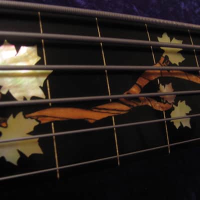 Drake Custom 6 string Fretless  2017 - gloss poly image 12
