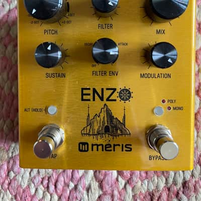Meris Enzo 2018 - Gold image 2