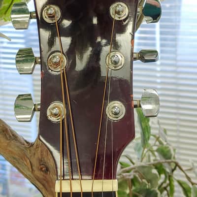 Northland BW41-202YW 2020's Acoustic Guitar - Natural image 8