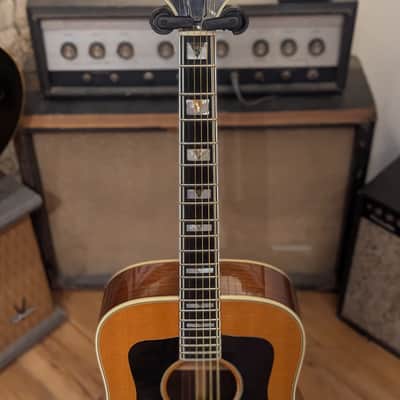 1977 Guild D-55 (Lefty) image 4