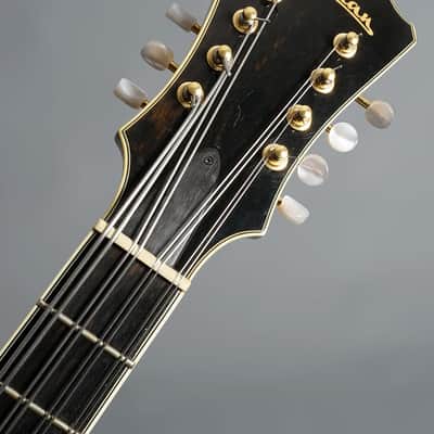 Eastman MDC805 Mandocello image 9