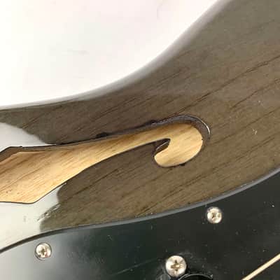Oswald Thinline S-Style Guitar - Trans Grey Hand Made Netherlands W Hard Shell case image 9