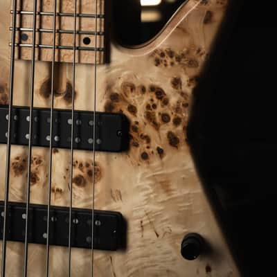 Fodera Emperor 5 Standard Special Poplar Burl 2023 image 6