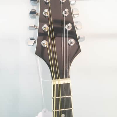 Stadium A-Style Acoustic/Electric Mandolin-Includes Setup-Case/Bag Available! image 3