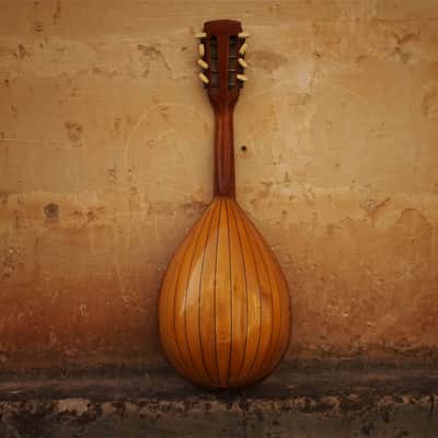 Amada Bowl Back Vintage Mandolin |  1950 image 4