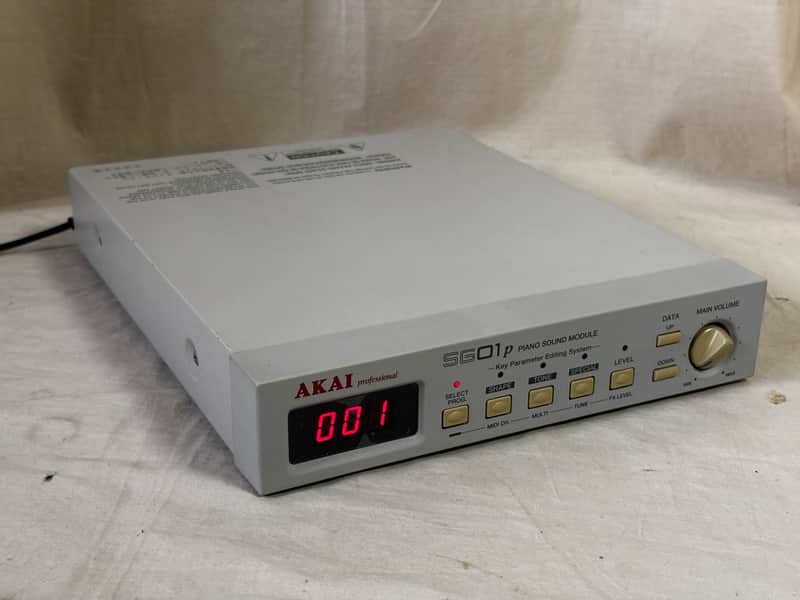 AKAI SG01p PIANO Sound Module New internal battery!! w/ power supply image 1