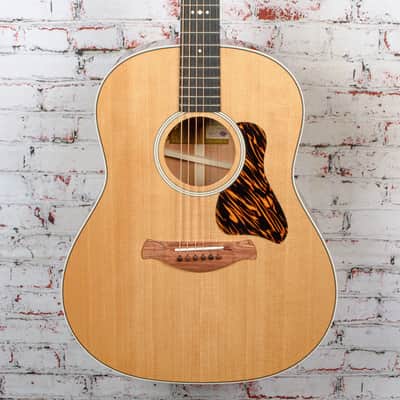 Taylor - Gold Label 517e - Acoustic-Electric Guitar - Mohagany/Torrified Sitka - Natural - w/ Gold Label British Cocoa Hardshell Case - x6029 image 1