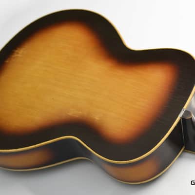 Lignatone Guitar image 7