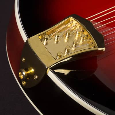 Washburn Americana M3SWE Trans Wine Red w/Case image 7