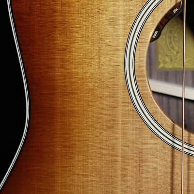 Taylor Gold Label 717e SB Rosewood / Torrified Spruce Sunburst Guitar image 8
