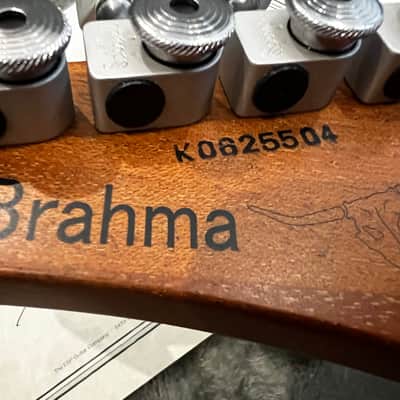 ESP  Super V  George Lynch Custom Shop BRAHMA 2006 - STBC See Thru Black Cherry Rare ! image 4