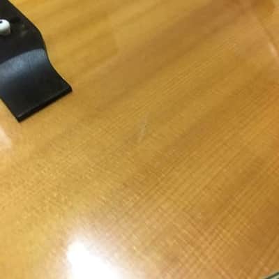 Takamine EG530C image 5