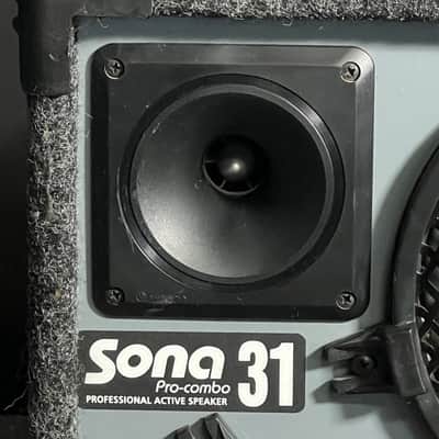 Barbetta Sona 31 Keyboard Pro Combo Professional Active Speaker image 3
