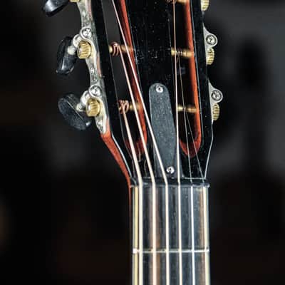 2019 Taylor 812ce 12-Fret DLX natural image 3