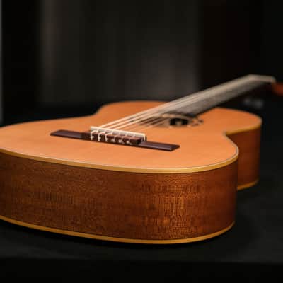 Ortega R122-3/4 Family Series Cedar Top Mahogany Neck 3/4-Size Nylon 6-String Classical Acoustic Guitar w/Gig Bag image 15
