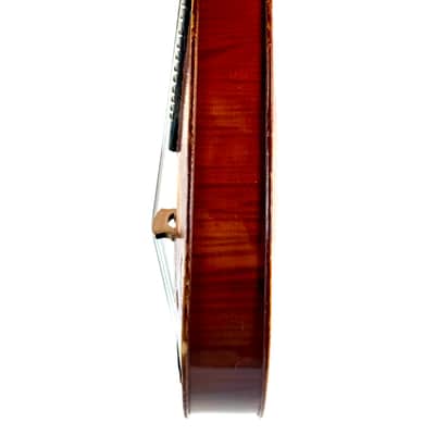 Concert Mandolin-Violin (Patented) Lambertz Bonn 1910’s / 1920’s image 9