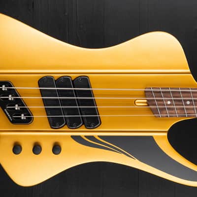 Dingwall D-Roc Standard 4 GD - Gold Matt Limited Edition image 6