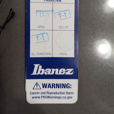 Ibanez Iron Label Xiphos 7-string  2021 Flat Black image 12