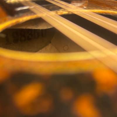 American conservatory Lyon & Healy Bowl Back mandolin - Early 1900s  - Brazilian Rosewood - All Org. - Great Player - Ships FREE!!! image 20