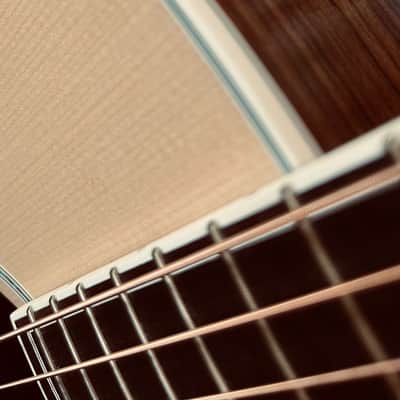 Guild M55 Special Limited Edition by Chuck Sanzone image 4