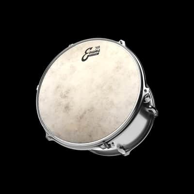 Evans '56 Calftone Drum Heads-10" image 2